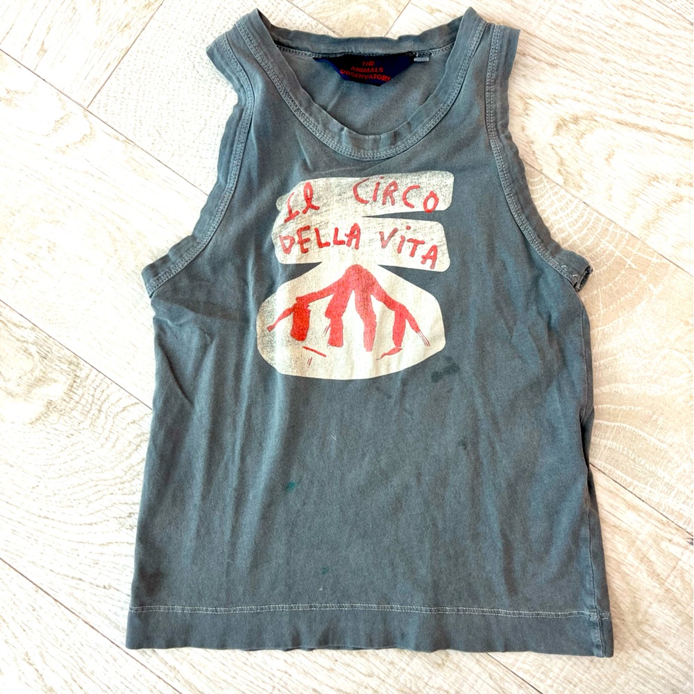 The animals observatory grey tank size 4